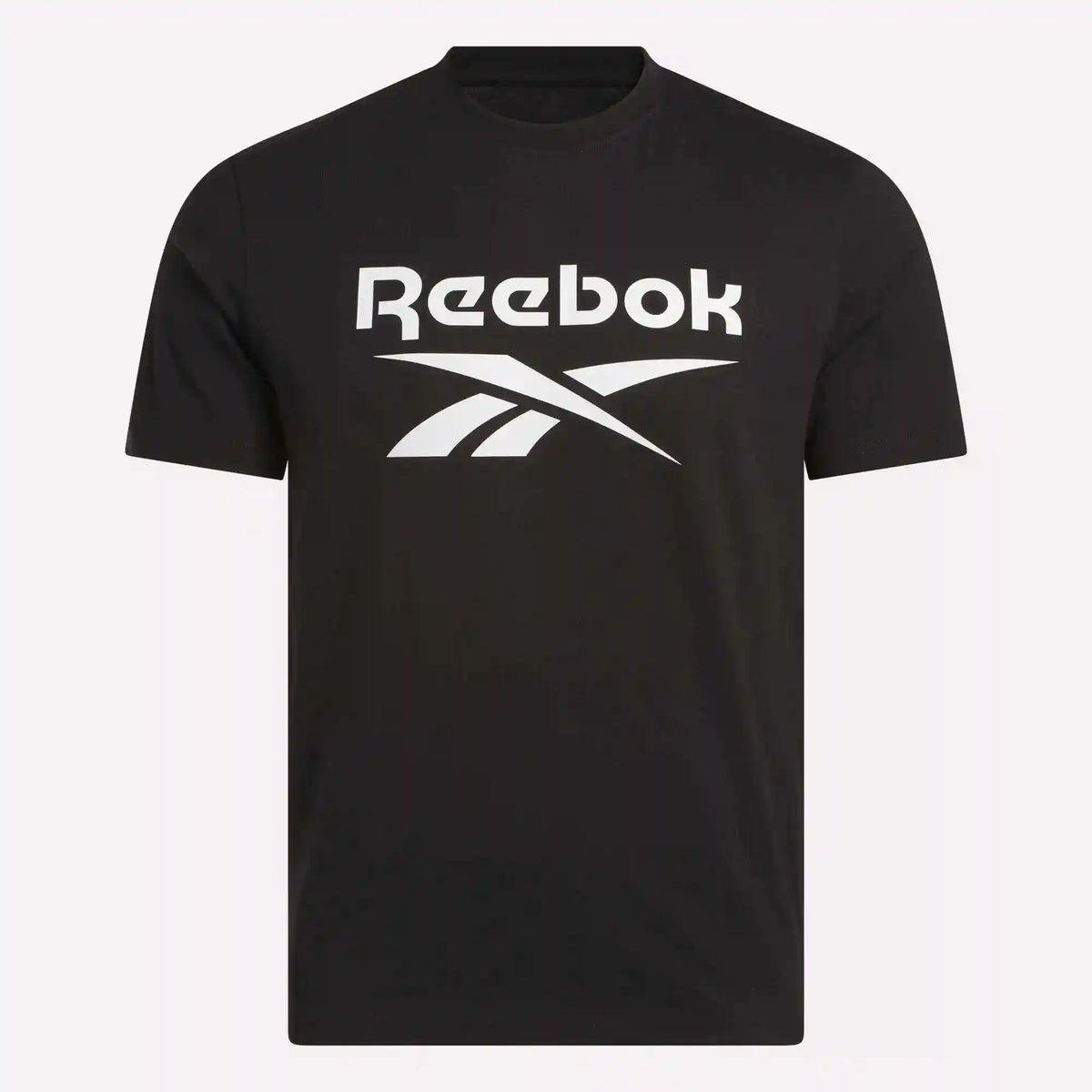 Men's Big Logo Crewneck Short Sleeve Tee