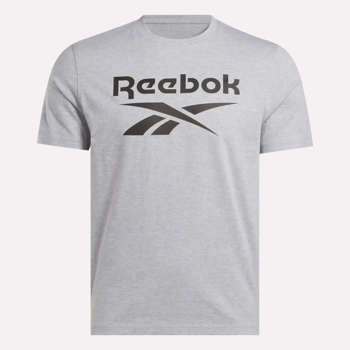 Men's Big Logo Crewneck Short Sleeve Tee